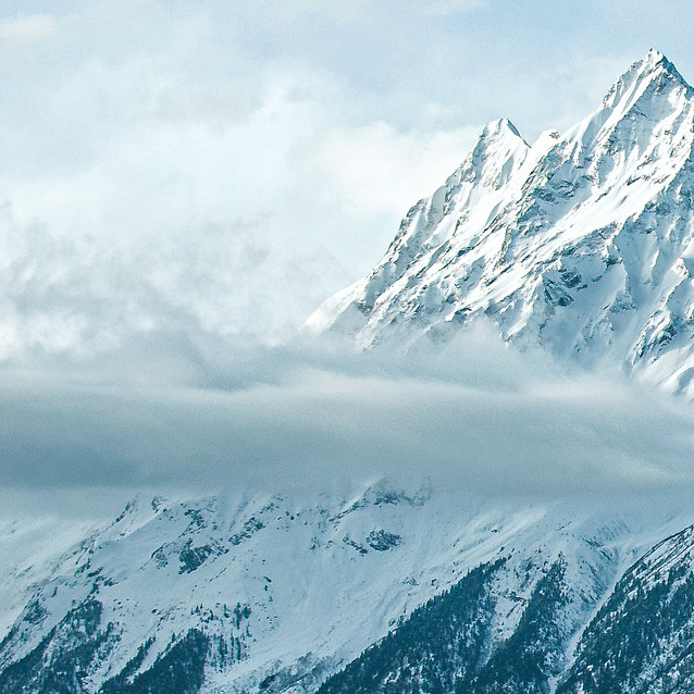 永信贵宾会217·(中国集团)官方网站