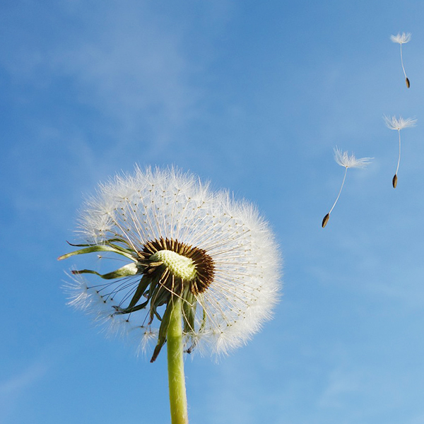 永信贵宾会217·(中国集团)官方网站